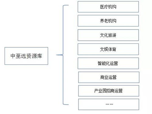地方政府專項(xiàng)債發(fā)行全流程綜合咨詢服務(wù)方案——中至遠(yuǎn)咨詢，以專業(yè)技術(shù)與防偽保障護(hù)航地方發(fā)展